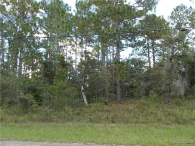 NICE BUILDING LOT LOCATED IN THE HEART OF CITRUS SPRINGS A GOLF on Citrus Springs Country Club in Florida - for sale on GolfHomes.com, golf home, golf lot