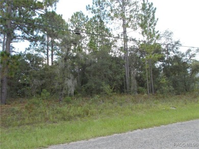 NICE BUILDING LOT LOCATED IN THE CENTER OF CITRUS SPRINGS. THIS on Citrus Springs Country Club in Florida - for sale on GolfHomes.com, golf home, golf lot