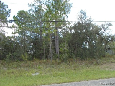 NICE BUILDING LOT LOCATED IN THE CENTER OF CITRUS SPRINGS. THIS on Citrus Springs Country Club in Florida - for sale on GolfHomes.com, golf home, golf lot
