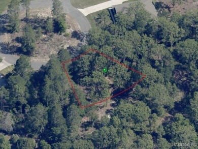 Discover your perfect homesite at 21 Lindwood Court, a on Sugarmill Woods Golf and Country Club in Florida - for sale on GolfHomes.com, golf home, golf lot