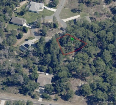 Discover your perfect homesite at 21 Lindwood Court, a on Sugarmill Woods Golf and Country Club in Florida - for sale on GolfHomes.com, golf home, golf lot