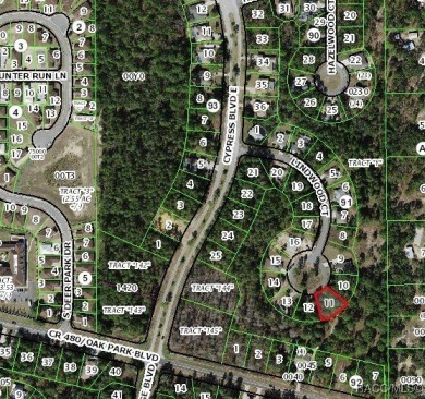 Discover your perfect homesite at 21 Lindwood Court, a on Sugarmill Woods Golf and Country Club in Florida - for sale on GolfHomes.com, golf home, golf lot