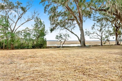 Build your coastal dream home on this beautiful marsh-front lot on Sapelo Hammock Golf Club in Georgia - for sale on GolfHomes.com, golf home, golf lot