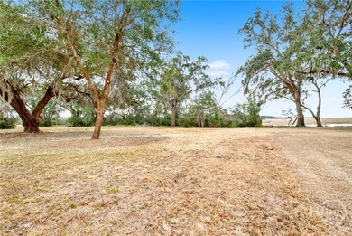 Build your coastal dream home on this beautiful marsh-front lot on Sapelo Hammock Golf Club in Georgia - for sale on GolfHomes.com, golf home, golf lot