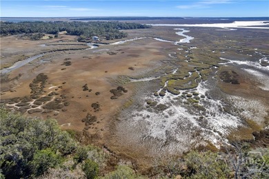 Build your coastal dream home on this beautiful marsh-front lot on Sapelo Hammock Golf Club in Georgia - for sale on GolfHomes.com, golf home, golf lot