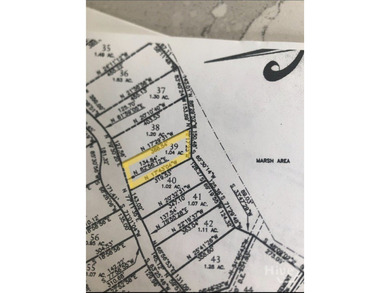 Build your coastal dream home on this beautiful marsh-front lot on Sapelo Hammock Golf Club in Georgia - for sale on GolfHomes.com, golf home, golf lot