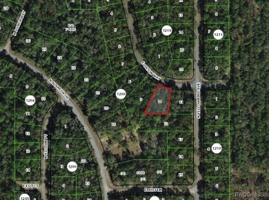 Picturesque homesite in Citrus Springs offering an incredible on Citrus Springs Country Club in Florida - for sale on GolfHomes.com, golf home, golf lot