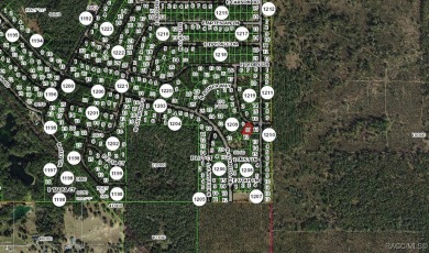 Picturesque homesite in Citrus Springs offering an incredible on Citrus Springs Country Club in Florida - for sale on GolfHomes.com, golf home, golf lot