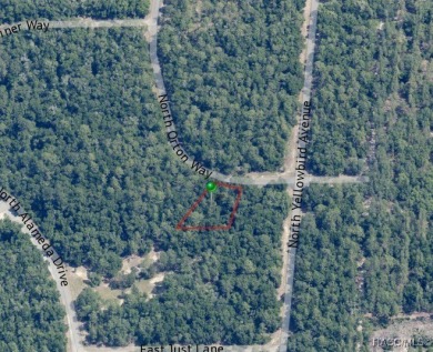 Picturesque homesite in Citrus Springs offering an incredible on Citrus Springs Country Club in Florida - for sale on GolfHomes.com, golf home, golf lot