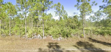 Come build your forever home on 2 one-half acre lots located in on Indian Lake Estates Golf and Country Club in Florida - for sale on GolfHomes.com, golf home, golf lot