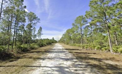 Come build your forever home on 2 one-half acre lots located in on Indian Lake Estates Golf and Country Club in Florida - for sale on GolfHomes.com, golf home, golf lot