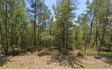 These Multi Family / Duplex properties are highly desirable and on Sugarmill Woods Golf and Country Club in Florida - for sale on GolfHomes.com, golf home, golf lot