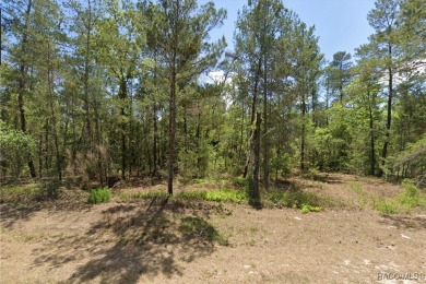 These Multi Family / Duplex properties are highly desirable and on Sugarmill Woods Golf and Country Club in Florida - for sale on GolfHomes.com, golf home, golf lot
