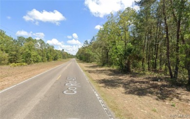 These Multi Family / Duplex properties are highly desirable and on Sugarmill Woods Golf and Country Club in Florida - for sale on GolfHomes.com, golf home, golf lot