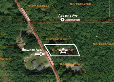 Welcome to this beautifully updated 4-bedroom, 2-bath ranch home on Indian River Golf Club in Michigan - for sale on GolfHomes.com, golf home, golf lot