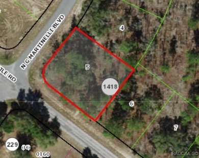 Buildable corner lot in Citrus Springs. Offers an excellent on Pine Ridge Community Golf and Country Club in Florida - for sale on GolfHomes.com, golf home, golf lot
