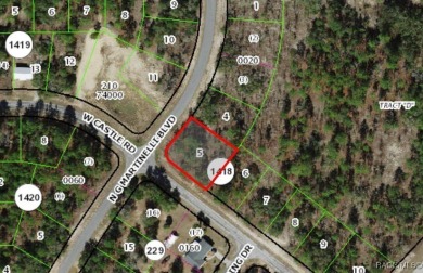Buildable corner lot in Citrus Springs. Offers an excellent on Pine Ridge Community Golf and Country Club in Florida - for sale on GolfHomes.com, golf home, golf lot