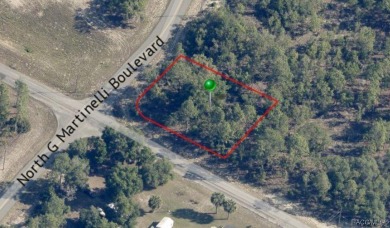 Buildable corner lot in Citrus Springs. Offers an excellent on Pine Ridge Community Golf and Country Club in Florida - for sale on GolfHomes.com, golf home, golf lot
