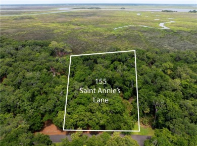 BEAUTIFUL LONG WESTERN MARSH VIEWS & a large canopy of LIVE on Frederica Golf Club in Georgia - for sale on GolfHomes.com, golf home, golf lot