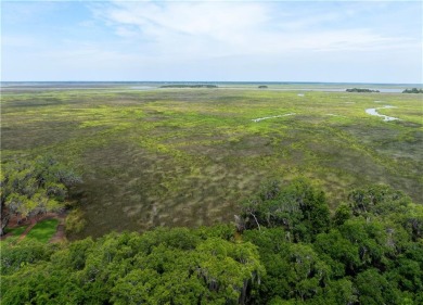 BEAUTIFUL LONG WESTERN MARSH VIEWS & a large canopy of LIVE on Frederica Golf Club in Georgia - for sale on GolfHomes.com, golf home, golf lot