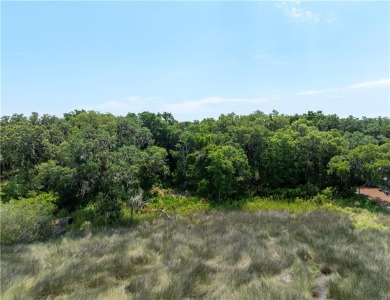 BEAUTIFUL LONG WESTERN MARSH VIEWS & a large canopy of LIVE on Frederica Golf Club in Georgia - for sale on GolfHomes.com, golf home, golf lot