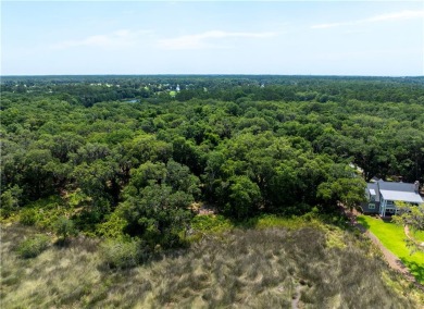 BEAUTIFUL LONG WESTERN MARSH VIEWS & a large canopy of LIVE on Frederica Golf Club in Georgia - for sale on GolfHomes.com, golf home, golf lot