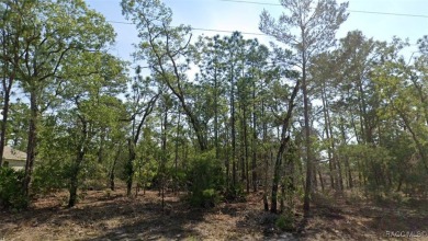 Discover the perfect opportunity to build your dream home on on Citrus Springs Country Club in Florida - for sale on GolfHomes.com, golf home, golf lot