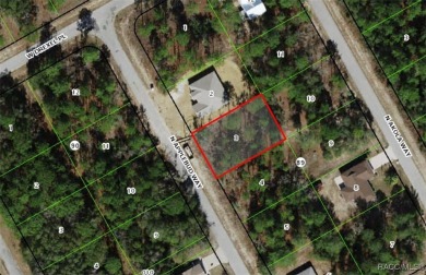 Discover the perfect opportunity to build your dream home on on Citrus Springs Country Club in Florida - for sale on GolfHomes.com, golf home, golf lot