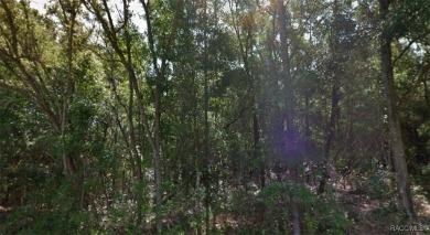 Discover the perfect opportunity to build your dream home on on Citrus Springs Country Club in Florida - for sale on GolfHomes.com, golf home, golf lot
