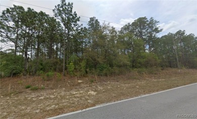 Check out this wooded lot offering a great canvas for your new on Citrus Springs Country Club in Florida - for sale on GolfHomes.com, golf home, golf lot