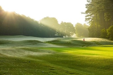 Tucked away at the end of a quiet cul-de-sac, Lot 72 at 124 on Hawks Ridge Golf Club in Georgia - for sale on GolfHomes.com, golf home, golf lot