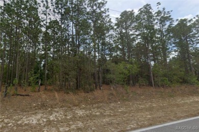 Check out this wooded lot offering a great canvas for your new on Citrus Springs Country Club in Florida - for sale on GolfHomes.com, golf home, golf lot
