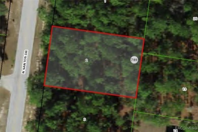 Check out this wooded lot offering a great canvas for your new on Citrus Springs Country Club in Florida - for sale on GolfHomes.com, golf home, golf lot