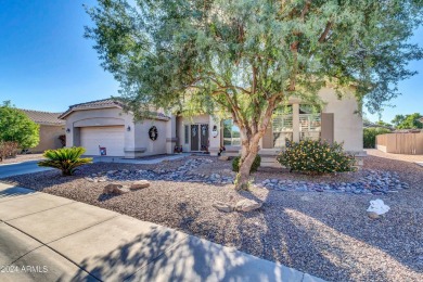 DON'T MISS THIS MAGNIFICENT HOME!!!!  Trilogy at Power Ranch 55+ on Trilogy Golf Club At Power Ranch in Arizona - for sale on GolfHomes.com, golf home, golf lot