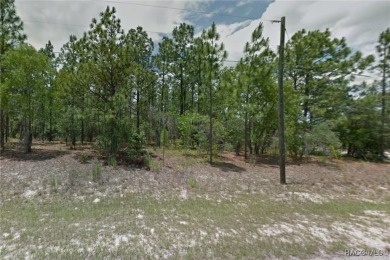 Check out this wooded lot offering a great canvas for your new on Citrus Springs Country Club in Florida - for sale on GolfHomes.com, golf home, golf lot