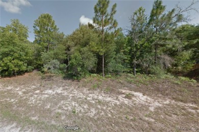 Check out this wooded lot offering a great canvas for your new on Pine Ridge Community Golf and Country Club in Florida - for sale on GolfHomes.com, golf home, golf lot