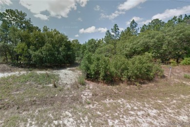 Check out this wooded lot offering a great canvas for your new on Pine Ridge Community Golf and Country Club in Florida - for sale on GolfHomes.com, golf home, golf lot