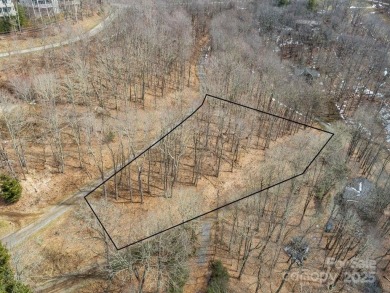 Nestled in woods of the Blue Ridge Mountains, behind protected on Wolf Laurel Country Club in North Carolina - for sale on GolfHomes.com, golf home, golf lot