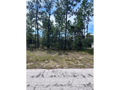 0.23 acre lot ready to build your dream home! Welcome to Citrus on Pine Ridge Community Golf and Country Club in Florida - for sale on GolfHomes.com, golf home, golf lot