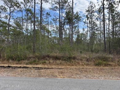 Take a look at this .24-acre wooded lot in the community of on The Lakes Country Club in North Carolina - for sale on GolfHomes.com, golf home, golf lot