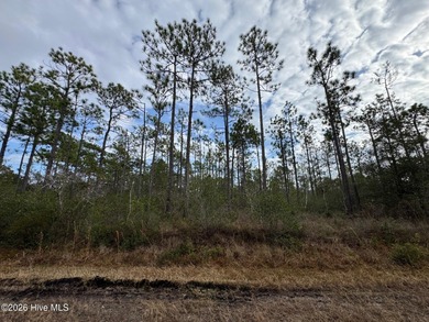 Take a look at this .24-acre wooded lot in the community of on The Lakes Country Club in North Carolina - for sale on GolfHomes.com, golf home, golf lot