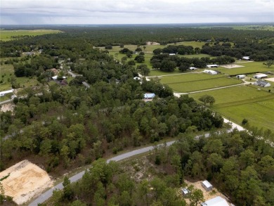 Welcome to this lovely, well-maintained 3-bedroom, 2-bath home on Williston Highlands Golf and Country Club in Florida - for sale on GolfHomes.com, golf home, golf lot