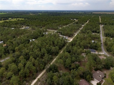Welcome to this lovely, well-maintained 3-bedroom, 2-bath home on Williston Highlands Golf and Country Club in Florida - for sale on GolfHomes.com, golf home, golf lot