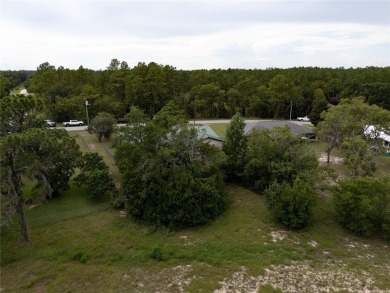 Welcome to this lovely, well-maintained 3-bedroom, 2-bath home on Williston Highlands Golf and Country Club in Florida - for sale on GolfHomes.com, golf home, golf lot