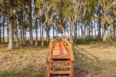 Set along approximately 82 feet of shimmering Lake Dora on Deer Island Country Club in Florida - for sale on GolfHomes.com, golf home, golf lot