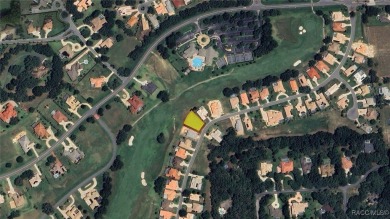 Beautiful 0.28-acre homesite located at 227 W Mickey Mantle Path on Skyview At Terra Vista Golf and Country Club in Florida - for sale on GolfHomes.com, golf home, golf lot