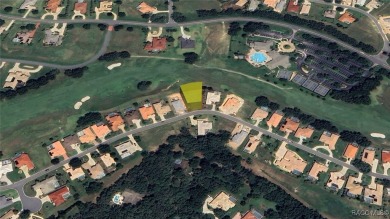 Beautiful 0.28-acre homesite located at 227 W Mickey Mantle Path on Skyview At Terra Vista Golf and Country Club in Florida - for sale on GolfHomes.com, golf home, golf lot