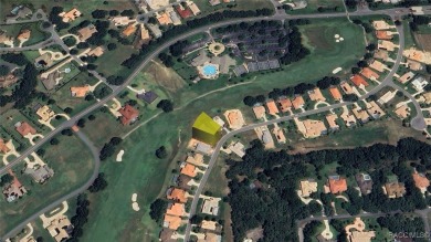 Beautiful 0.28-acre homesite located at 227 W Mickey Mantle Path on Skyview At Terra Vista Golf and Country Club in Florida - for sale on GolfHomes.com, golf home, golf lot