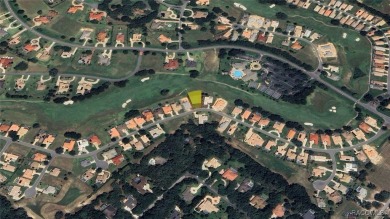 Beautiful 0.28-acre homesite located at 227 W Mickey Mantle Path on Skyview At Terra Vista Golf and Country Club in Florida - for sale on GolfHomes.com, golf home, golf lot