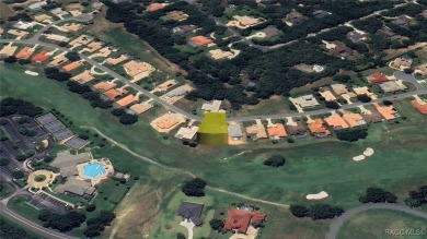 Beautiful 0.28-acre homesite located at 227 W Mickey Mantle Path on Skyview At Terra Vista Golf and Country Club in Florida - for sale on GolfHomes.com, golf home, golf lot